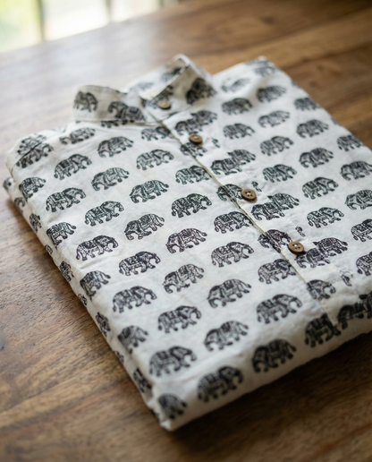 अBIR Gajraaj Parade Kurta for Boys