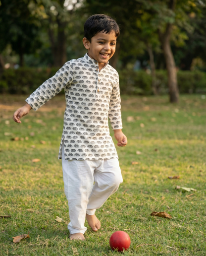 अBIR Gajraaj Parade Kurta for Boys